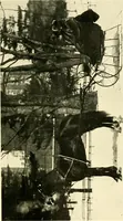 An illustration from Driving (1903)