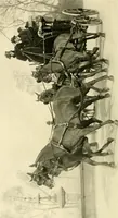 An illustration from Driving (1903)