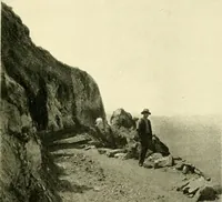 An illustration from Driving (1903)