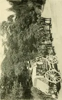 An illustration from Driving (1903)