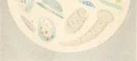 Picture 5 of 6 from Drops of water : their marvelous and beautiful inhabitants displayed by the microscope (1851), leaf 139