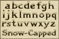 Picture 42 of 73 from Druggists' and dispensers' practial show card instructor .. (1914), leaf 107