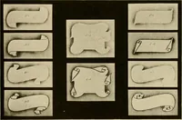 Picture 61 of 73 from Druggists' and dispensers' practial show card instructor .. (1914), leaf 127