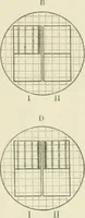An illustration from Détermination expérimentale de la valeur du metre en longueurs d'ondes lumineuses (1894)