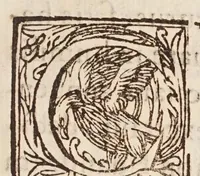 An illustration from Dubitationes in Dialogum Galilaei Galilaei Lyncei ... (1632)