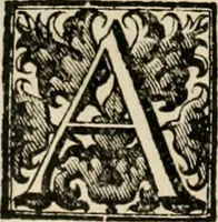 Picture 101 of 188 from Fasti ducales ab Anafesto I. ad Silvestrum Valerium Venetorum ducem : cum eorum iconibus, insignibus, nummismatibus publicis, & privatis aere sculptis : inscriptionibus ex aula M. Consilii, ac sepulchralibus : adiectae sunt adnotationes, ad vitam cuiusque principis, rerum, quae omissae fuerant (1696), leaf 153