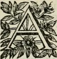 Picture 134 of 188 from Fasti ducales ab Anafesto I. ad Silvestrum Valerium Venetorum ducem : cum eorum iconibus, insignibus, nummismatibus publicis, & privatis aere sculptis : inscriptionibus ex aula M. Consilii, ac sepulchralibus : adiectae sunt adnotationes, ad vitam cuiusque principis, rerum, quae omissae fuerant (1696), leaf 221