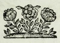 An illustration from Ducalis regiae lararium, siue, Ser[enisi]m[a]e Reipu. Venetae principu[m] omniu[m] icones : vsque ad serenisimu[m] Ioannem Pisaurum, qui nunc reru[m] feliciter potitur, elogia P.D. Leonis Matinae .. (1659)