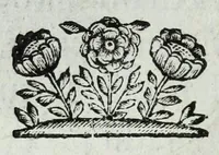 An illustration from Ducalis regiae lararium, siue, Ser[enisi]m[a]e Reipu. Venetae principu[m] omniu[m] icones : vsque ad serenisimu[m] Ioannem Pisaurum, qui nunc reru[m] feliciter potitur, elogia P.D. Leonis Matinae .. (1659)