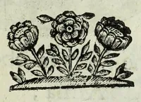 An illustration from Ducalis regiae lararium, siue, Ser[enisi]m[a]e Reipu. Venetae principu[m] omniu[m] icones : vsque ad serenisimu[m] Ioannem Pisaurum, qui nunc reru[m] feliciter potitur, elogia P.D. Leonis Matinae .. (1659)