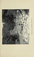An illustration from Du Cap au lac Nyassa (1897)