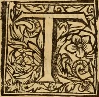 An illustration from Ductor dubitantium : or, The rule of conscience in all her general measures; serving as a great instrument for the determination of cases of conscience. In four books (1671)