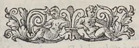 An illustration from Due libri dell'historia de i semplici, aromati, et altre cose; che vengono portate dall'Indie Orientali pertinenti all'vso della medicina. (1582)