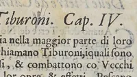 An illustration from Due libri dell'historia de i semplici, aromati, et altre cose; che vengono portate dall'Indie Orientali pertinenti all'vso della medicina. (1582)