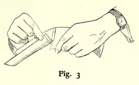 An illustration from The Dufaycolor book (1930)