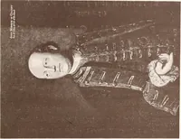 An illustration from Illustrated catalogue of the ninth series of 100 paintings by old masters of the Dutch, Flemish, Italian, French, and English schools : being a portion of the Sedelmeyer Gallery which contains about 1500 original pictures by ancient and modern artists (1905)