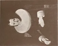 An illustration from Illustrated catalogue of the ninth series of 100 paintings by old masters of the Dutch, Flemish, Italian, French, and English schools : being a portion of the Sedelmeyer Gallery which contains about 1500 original pictures by ancient and modern artists (1905)