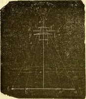 An illustration from Du microscope et des injections : dans leurs applications à l'anatomie et à la pathologie, suivi d'une classification des sciences fondamentales, de celle de la biologie et de l'anatomie en particulier (1849)