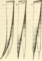 An illustration from Du microscope et des injections : dans leurs applications à l'anatomie et à la pathologie, suivi d'une classification des sciences fondamentales, de celle de la biologie et de l'anatomie en particulier (1849)