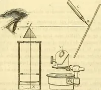 An illustration from Du microscope et des injections : dans leurs applications à l'anatomie et à la pathologie, suivi d'une classification des sciences fondamentales, de celle de la biologie et de l'anatomie en particulier (1849)