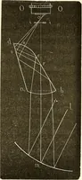 An illustration from Du microscope et des injections : dans leurs applications à l'anatomie et à la pathologie, suivi d'une classification des sciences fondamentales, de celle de la biologie et de l'anatomie en particulier (1849)