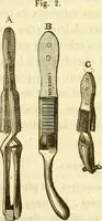 An illustration from Du microscope et des injections : dans leurs applications à l'anatomie et à la pathologie, suivi d'une classification des sciences fondamentales, de celle de la biologie et de l'anatomie en particulier (1849)