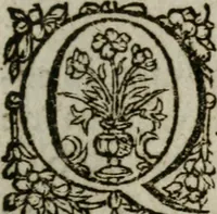 An illustration from Duodecim specula deum aliquando videre desideranti concinnata (1610)