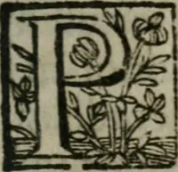 An illustration from Duodecim specula deum aliquando videre desideranti concinnata (1610)
