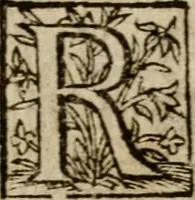 An illustration from Duodecim specula Deum aliquando videre desideranti concinnata (1610)