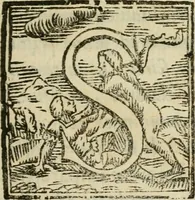 An illustration from Duplex dissertatio de duobus nummis Diocletiani et Licinii : ex cimelijs sereniss. ac reuerendiss. principis Leopoldi Cardinalis Medicei : cum auctario chronologico de votis decennalibus imperatorum ac caesarum (1675)