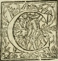 An illustration from Duplex dissertatio de duobus nummis Diocletiani et Licinii : ex cimelijs sereniss. ac reuerendiss. principis Leopoldi Cardinalis Medicei : cum auctario chronologico de votis decennalibus imperatorum ac caesarum (1675)