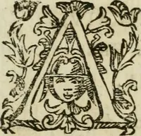 An illustration from Duplex dissertatio de duobus nummis Diocletiani et Licinii : ex cimelijs sereniss. ac reuerendiss. principis Leopoldi Cardinalis Medicei : cum auctario chronologico de votis decennalibus imperatorum ac caesarum (1675)