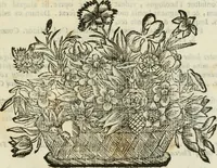 An illustration from Duplex dissertatio de duobus nummis Diocletiani et Licinii : ex cimelijs sereniss. ac reuerendiss. principis Leopoldi Cardinalis Medicei : cum auctario chronologico de votis decennalibus imperatorum ac caesarum (1675)