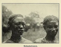 Picture 9 of 17 from Durch Sand, Sumpf und Wald : Missionsreisen in Zentral-Afrika (1914), leaf 349