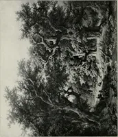 An illustration from Dutch art in the 19th century; (1909)
