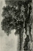 An illustration from Dutch art in the 19th century; (1909)