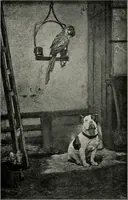 An illustration from Dutch art in the 19th century; (1909)