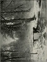 An illustration from Dutch art in the 19th century; (1909)
