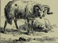 An illustration from Dutch etchers of the seventeenth century (1905)