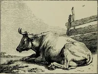 An illustration from Dutch etchers of the seventeenth century (1905)