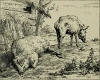An illustration from Dutch etchers of the seventeenth century (1905)