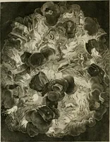 An illustration from Tableaux du temple des muses : tirez du cabinet de feu Mr. Fauereau, conseiller du roy en sa Cour des aydes, & grauez en tailles-douces par les meilleurs maistres de son temps, pour representer les vertus & les vices, sur les plus illustres fables de l'antiquité (1655)