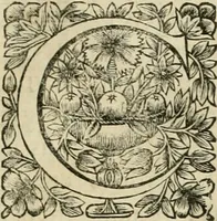 An illustration from Tableaux du temple des muses : tirez du cabinet de feu Mr. Fauereau, conseiller du roy en sa Cour des aydes, & grauez en tailles-douces par les meilleurs maistres de son temps, pour representer les vertus & les vices, sur les plus illustres fables de l'antiquité (1655)