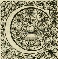 An illustration from Tableaux du temple des muses : tirez du cabinet de feu Mr. Fauereau, conseiller du roy en sa Cour des aydes, & grauez en tailles-douces par les meilleurs maistres de son temps, pour representer les vertus & les vices, sur les plus illustres fables de l'antiquité (1655)