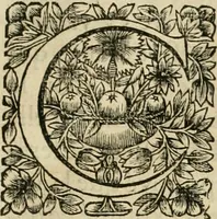An illustration from Tableaux du temple des muses : tirez du cabinet de feu Mr. Fauereau, conseiller du roy en sa Cour des aydes, & grauez en tailles-douces par les meilleurs maistres de son temps, pour representer les vertus & les vices, sur les plus illustres fables de l'antiquité (1655)