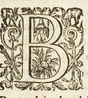 Picture 4 of 56 from Dvcvm Brabantiae chronica (1600), leaf 25