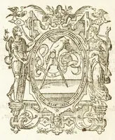Picture 55 of 56 from Dvcvm Brabantiae chronica (1600), leaf 266