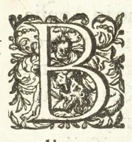 Picture 5 of 56 from Dvcvm Brabantiae chronica (1600), leaf 30