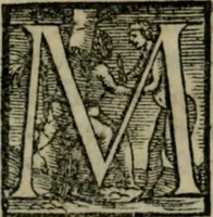 An illustration from Dve lezzioni di M. Benedetto Varchi : nella prima delle qvali si dichiara vn sonetto di M. Michelagnolo Buonarroti : nella seconda si disputa quale sia piu nobile arte la scultura, o la pittura, con vna lettera d'esso Michelagnolo & piu altri eccellentiss. pittori et scultori sopra la quistione sopradetta (1549)