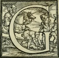 An illustration from Dve lezzioni di M. Benedetto Varchi : nella prima delle qvali si dichiara vn sonetto di M. Michelagnolo Buonarroti : nella seconda si disputa quale sia piu nobile arte la scultura, o la pittura, con vna lettera d'esso Michelagnolo & piu altri eccellentiss. pittori et scultori sopra la quistione sopradetta (1549)